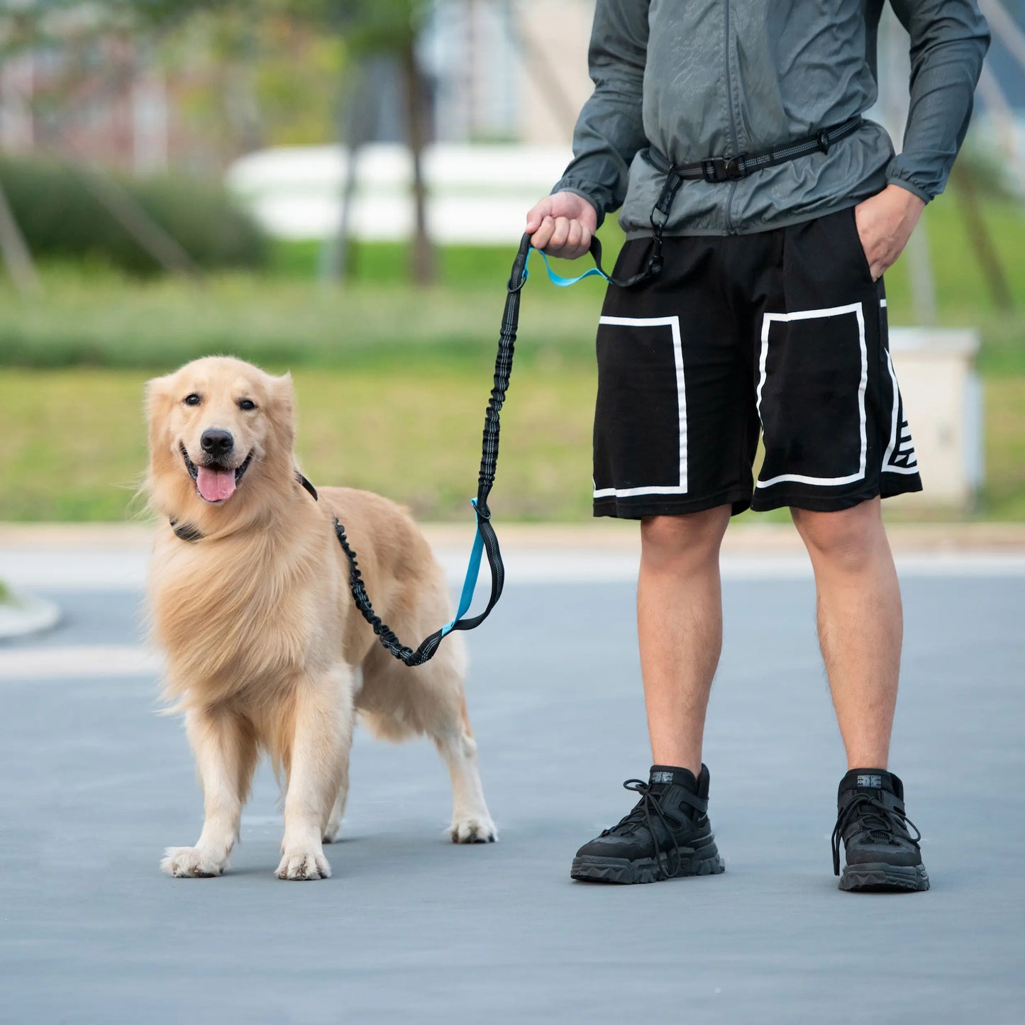 Correa Manos Libres con Bungee – Para Pasear y Correr con tu Perro