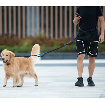 Correa Manos Libres con Bungee – Para Pasear y Correr con tu Perro