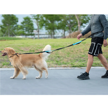 Correa Manos Libres con Bungee – Para Pasear y Correr con tu Perro